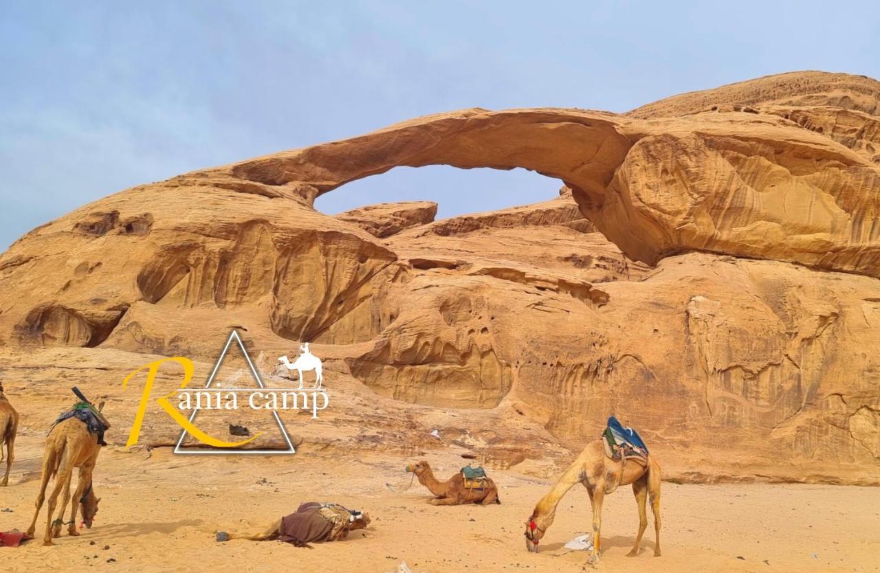 Wadi Rum,Rania Camp Εξωτερικό φωτογραφία