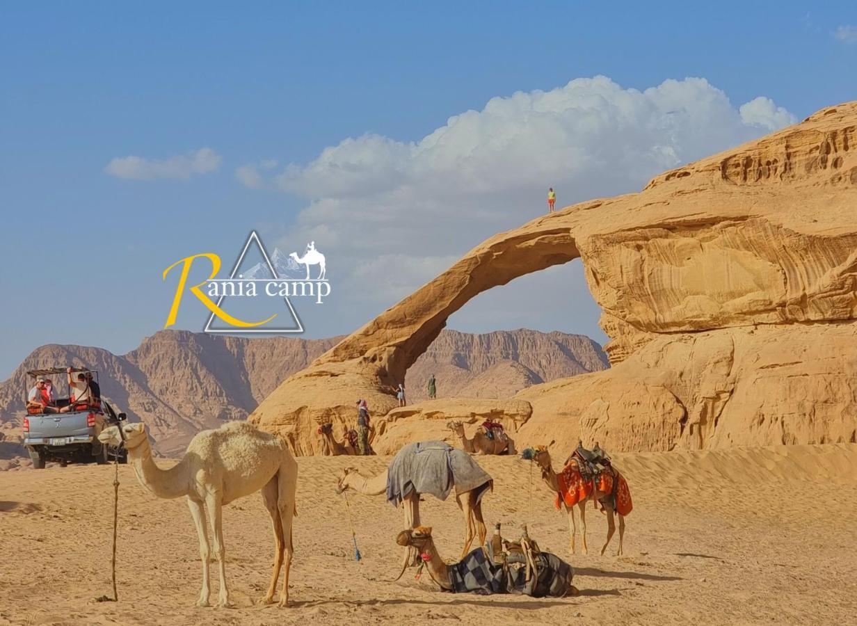 Wadi Rum,Rania Camp Εξωτερικό φωτογραφία