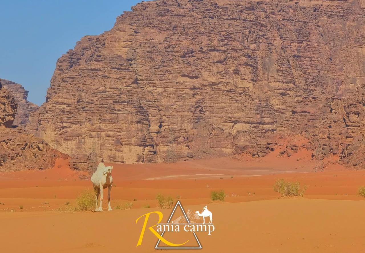 Wadi Rum,Rania Camp Εξωτερικό φωτογραφία